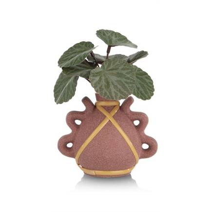 Coco Maison Saxifrage Mini Bush H13cm kunstbloem